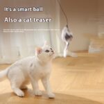 676c5a86-aa01-49da-b892-58810dedbf1a.jpg