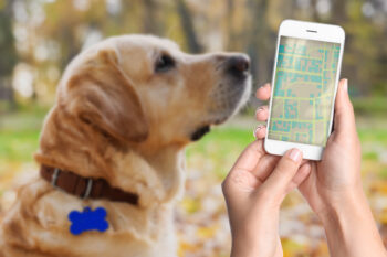 Pet Smart Tracker